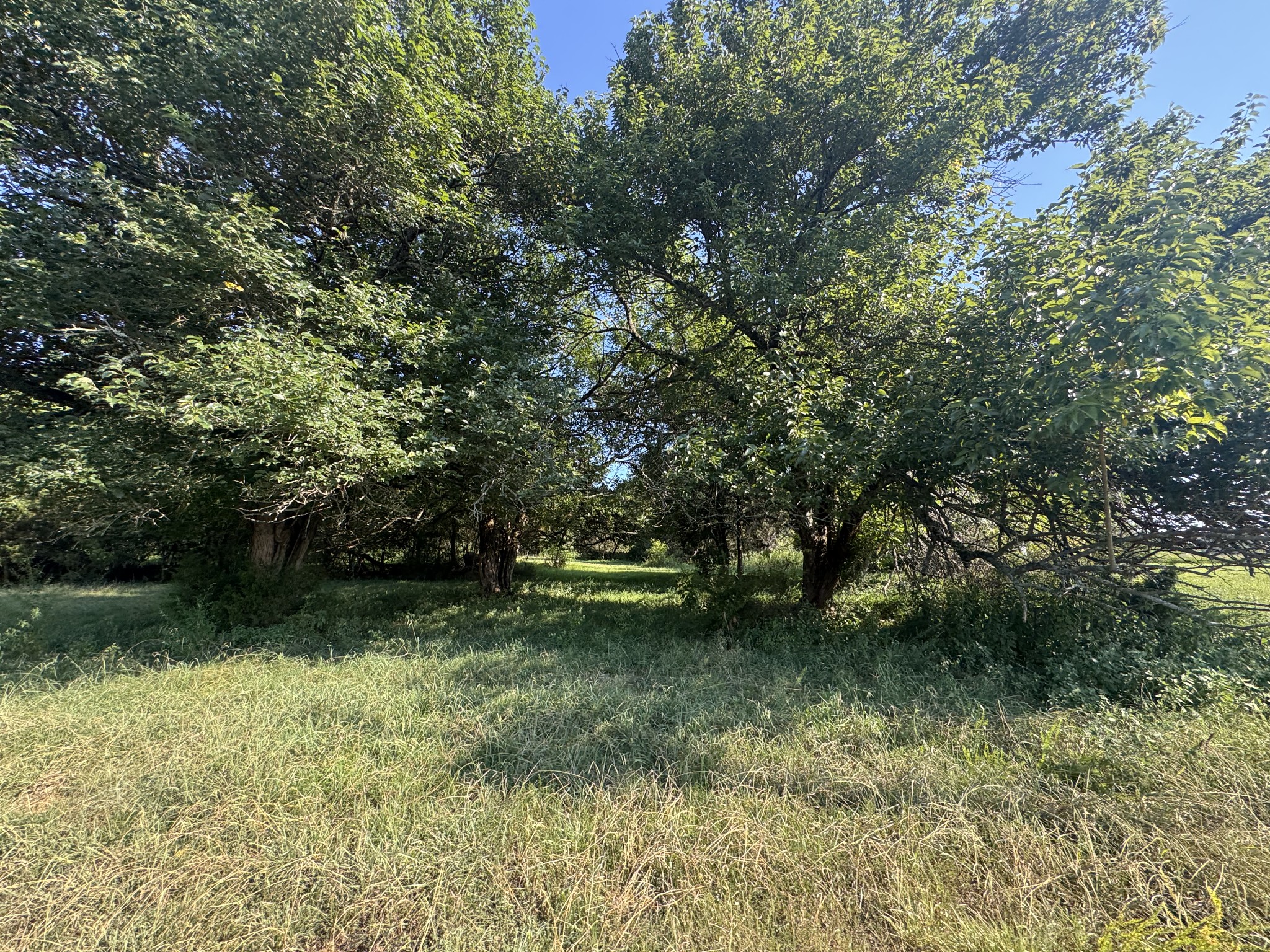 0 Lunns Store Rd Property Photo 34