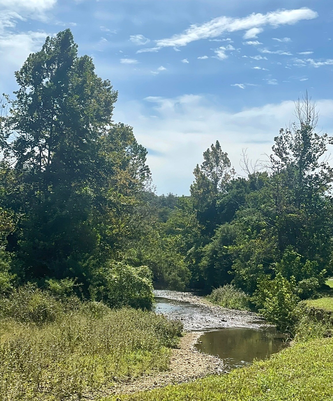 0 Batson Road Property Photo 1