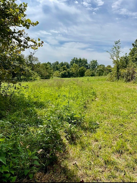 0 Batson Road Property Photo 2