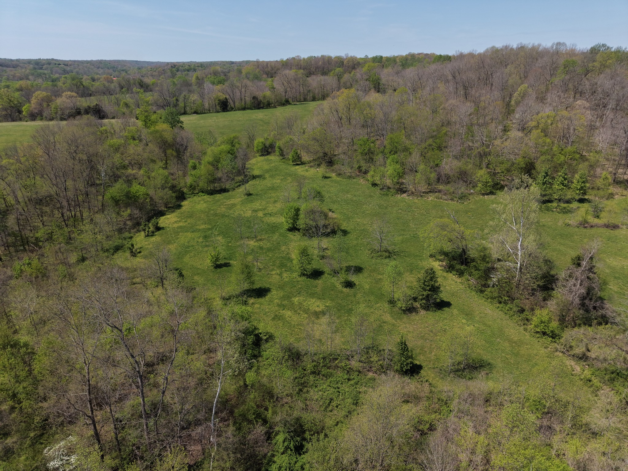 0 Batson Road Property Photo 5