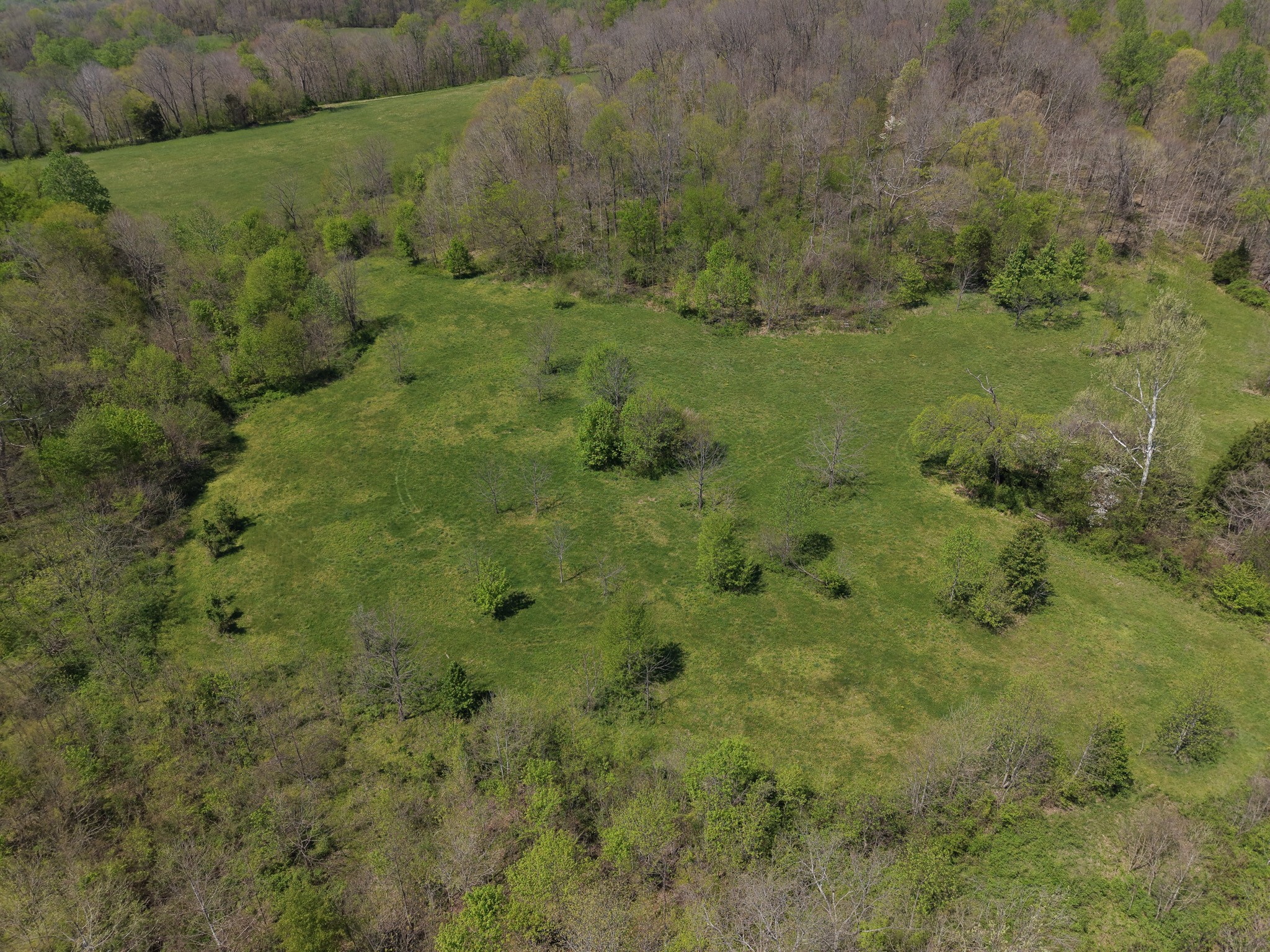 0 Batson Road Property Photo 6
