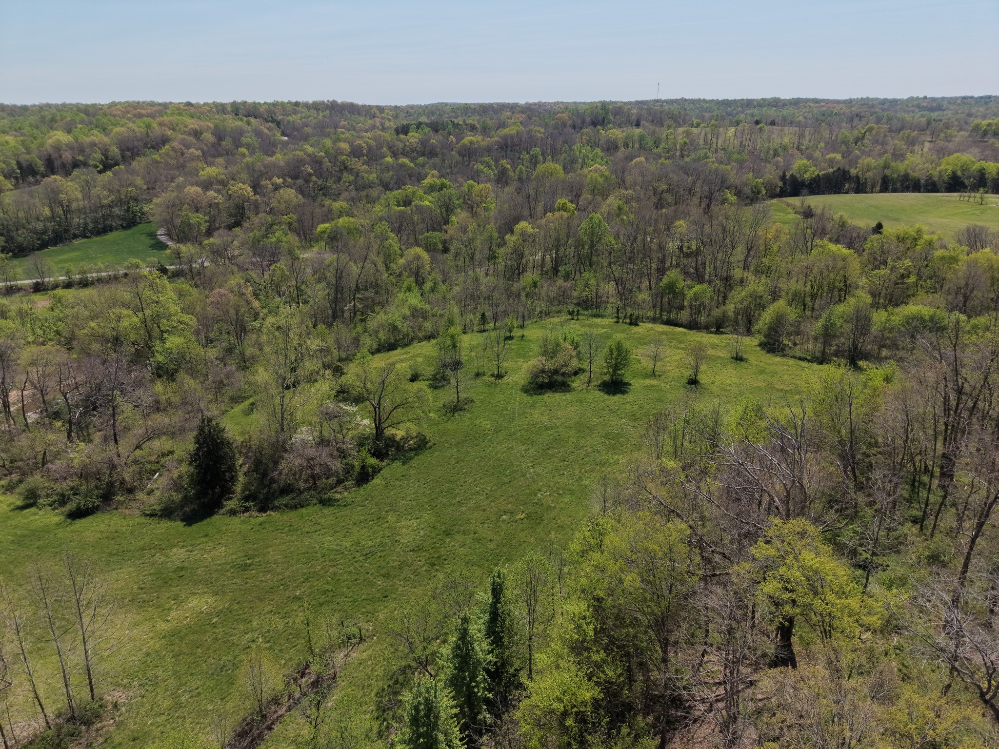 0 Batson Road Property Photo 7