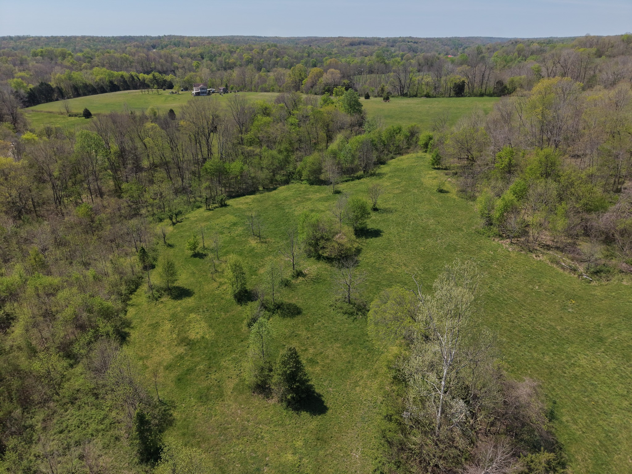 0 Batson Road Property Photo 9