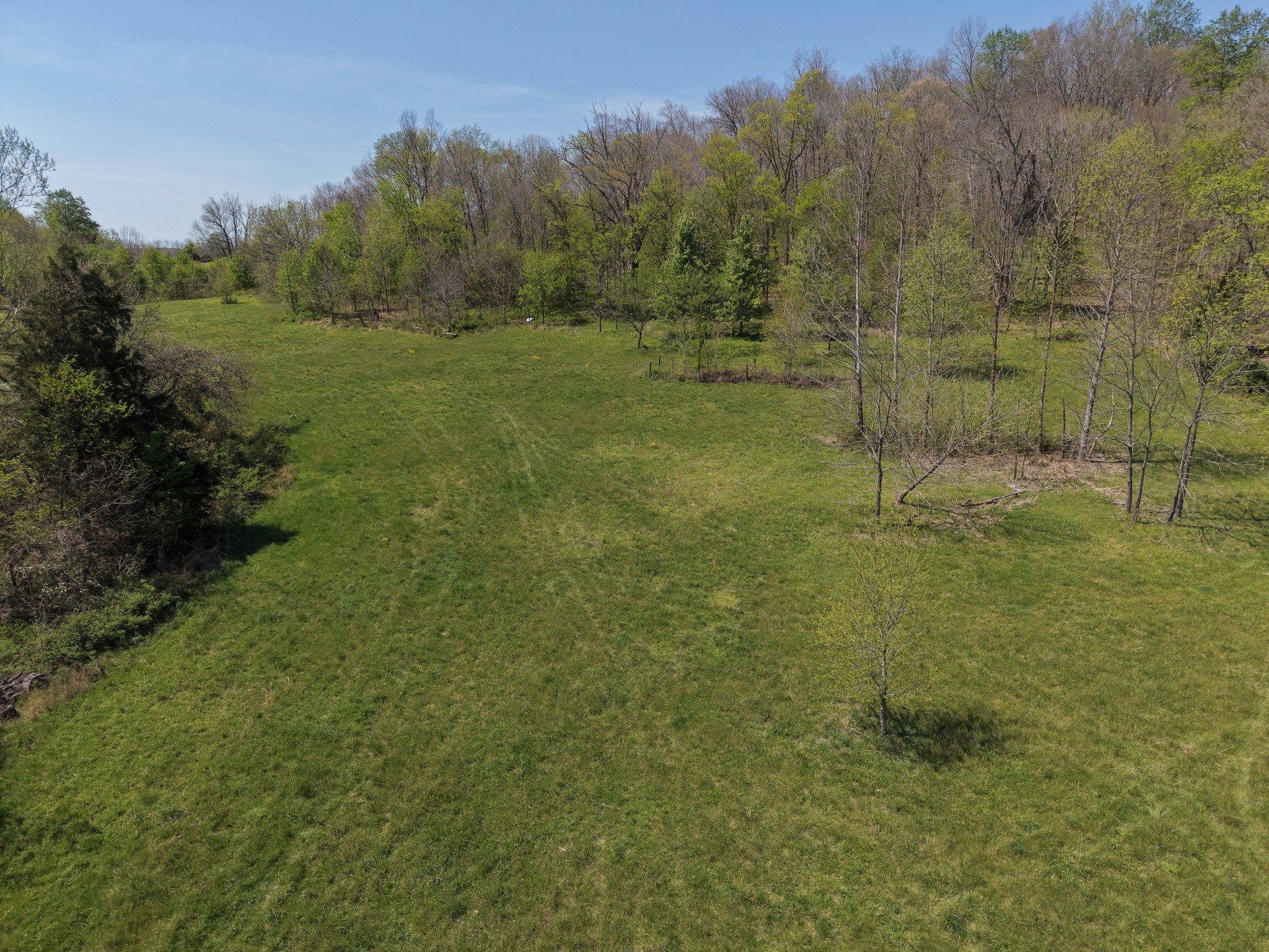 0 Batson Road Property Photo 10