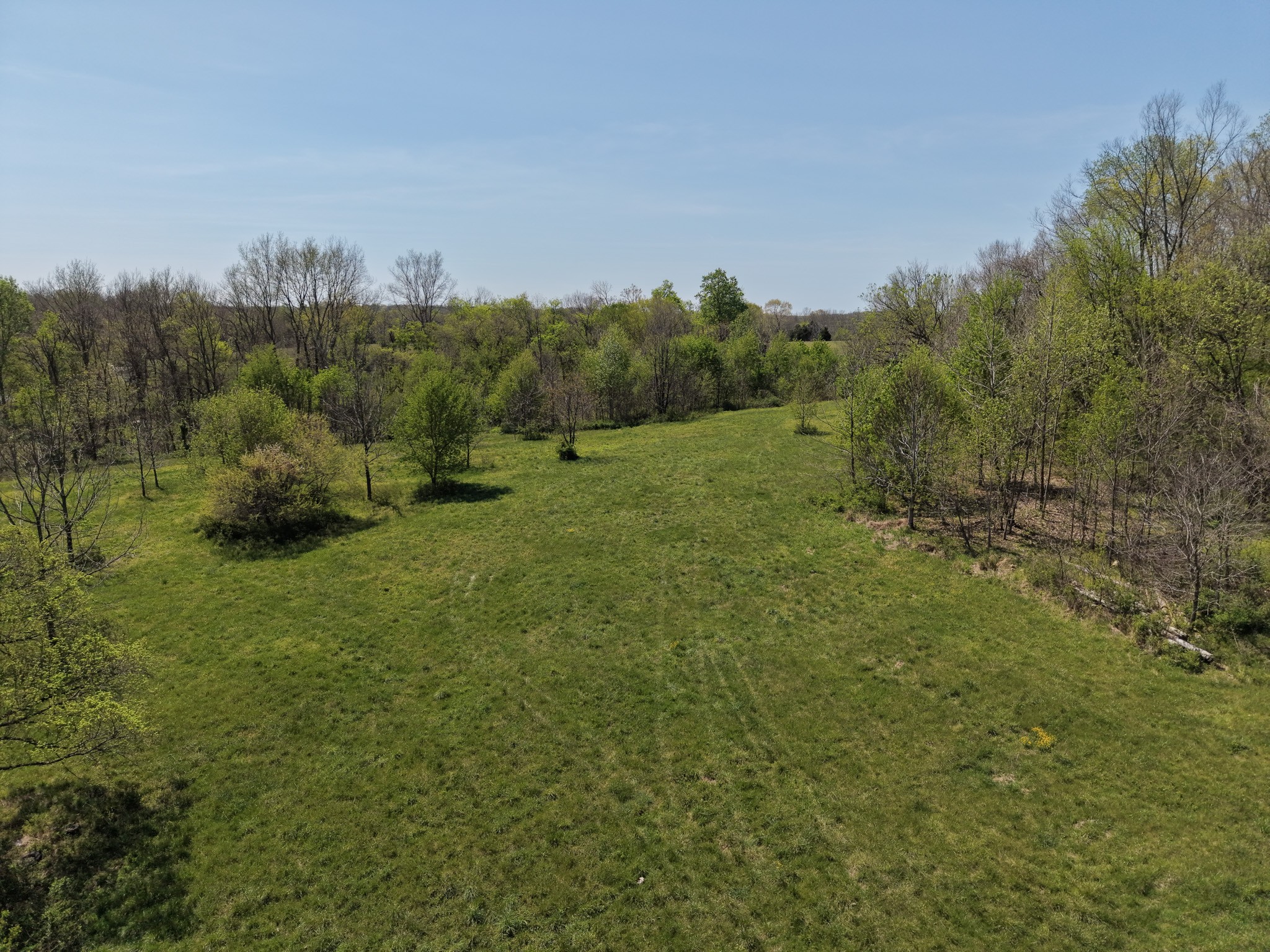 0 Batson Road Property Photo 11