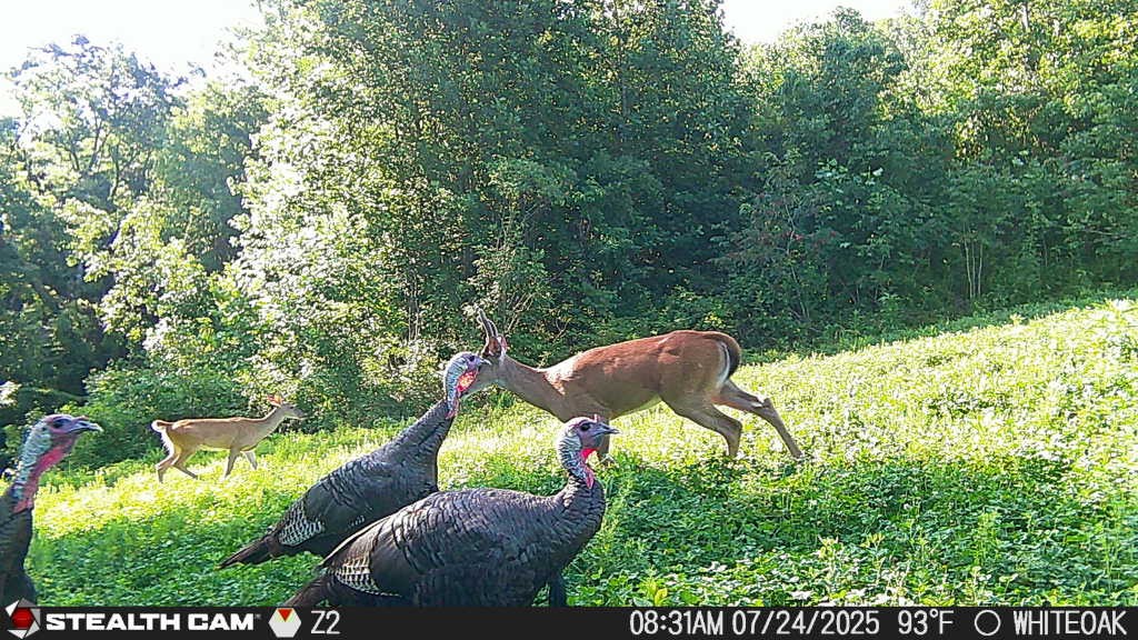 0 Edwards Ct Property Photo 3