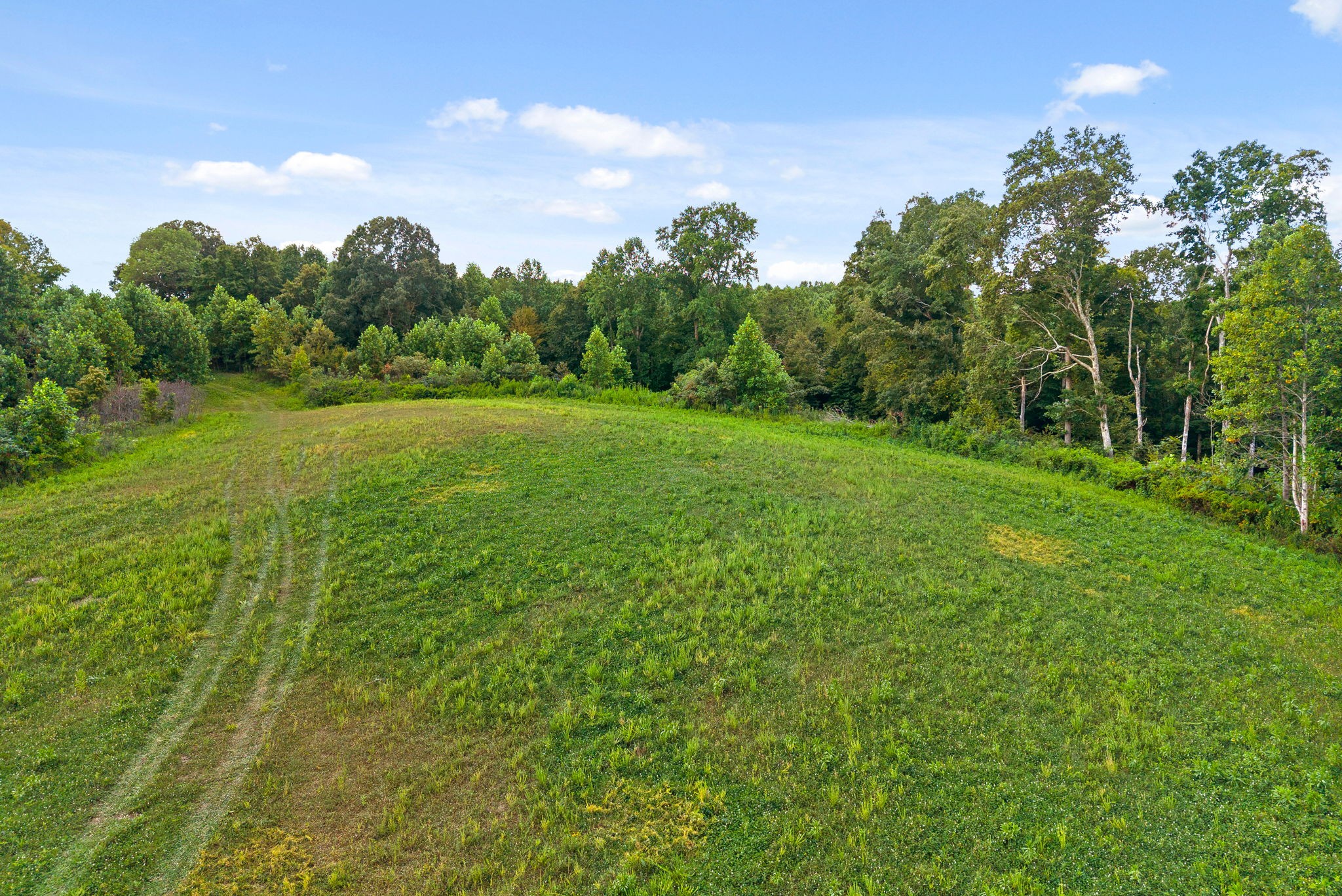 0 Edwards Ct Property Photo 6