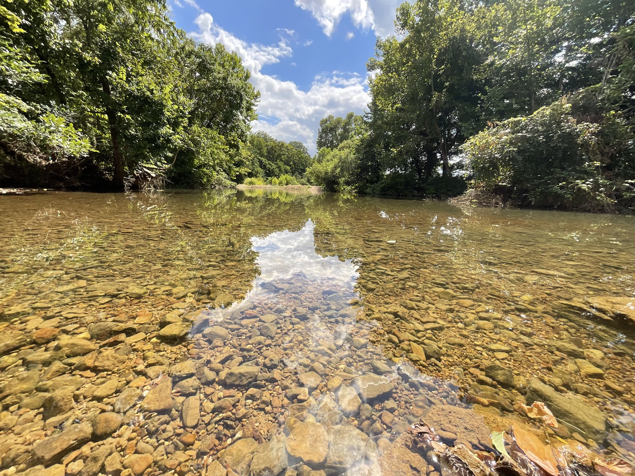 0 Edwards Ct Property Photo 7