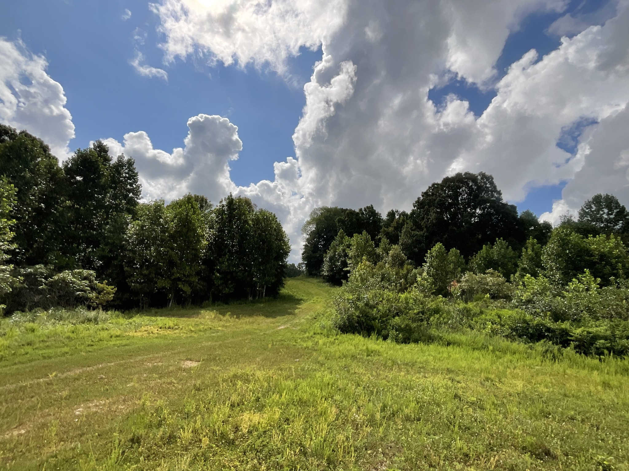 0 Edwards Ct Property Photo 12