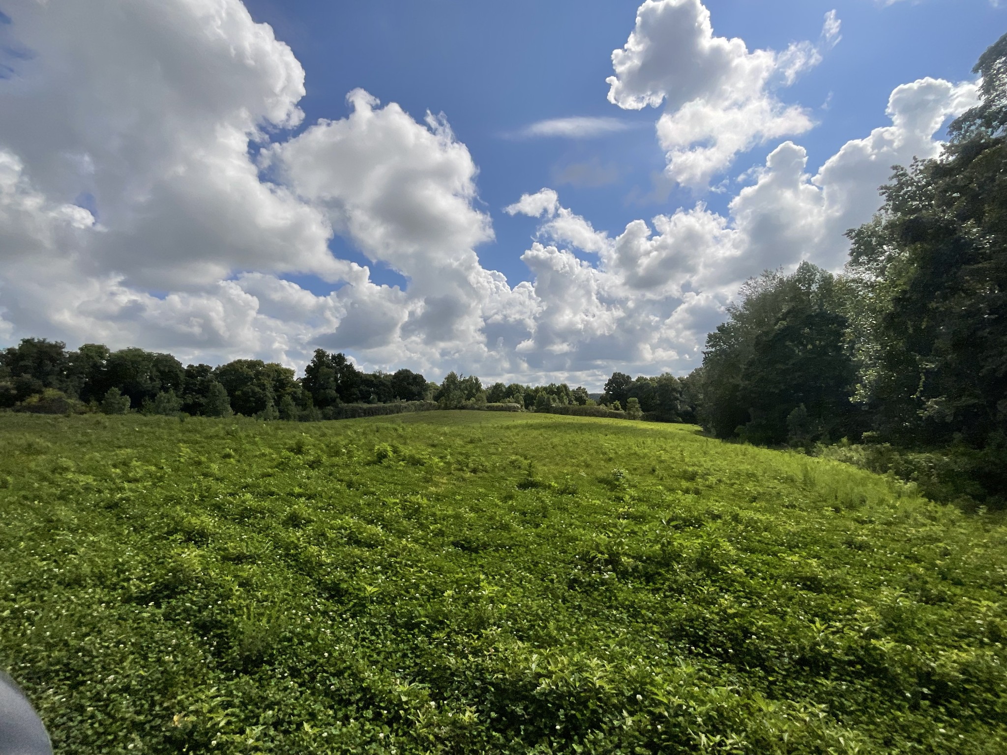 0 Edwards Ct Property Photo 13