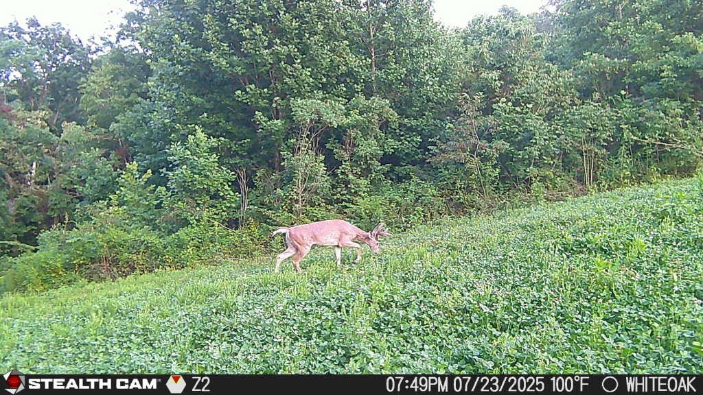 0 Edwards Ct Property Photo 14