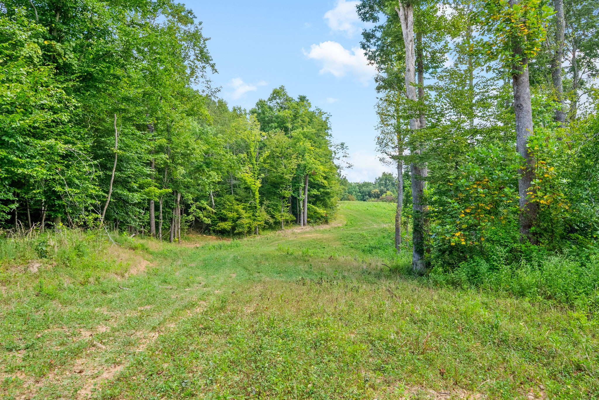 0 Edwards Ct Property Photo 15