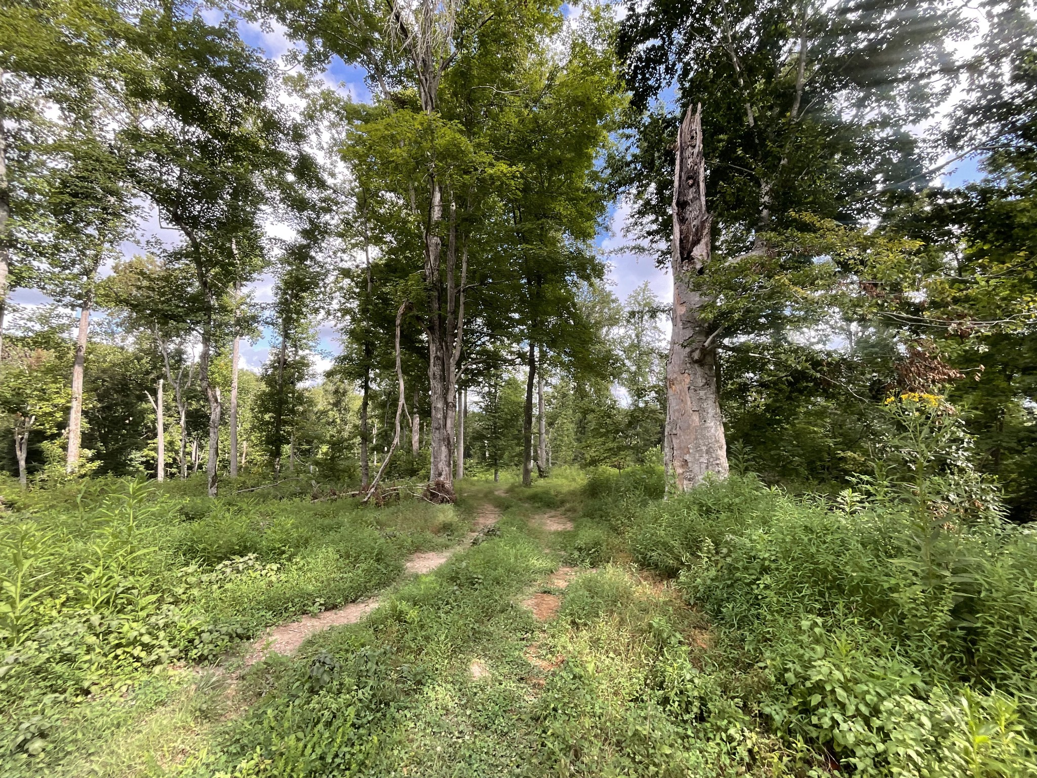 0 Edwards Ct Property Photo 16