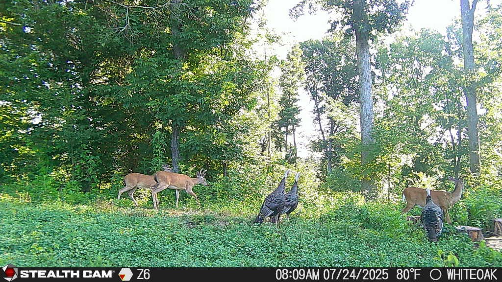 0 Edwards Ct Property Photo 17