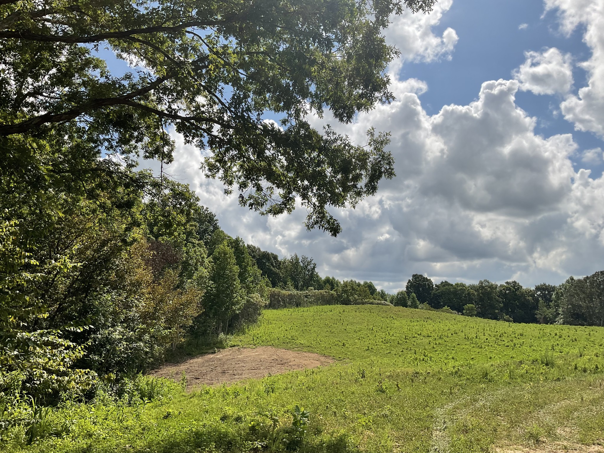 0 Edwards Ct Property Photo 18