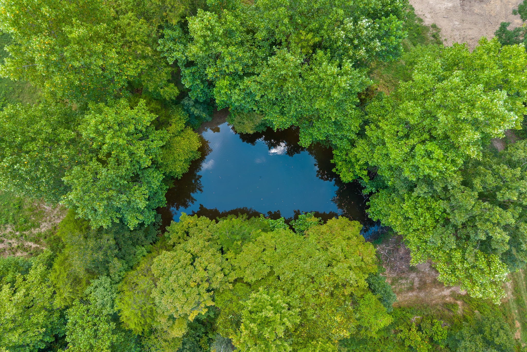 0 Edwards Ct Property Photo 19