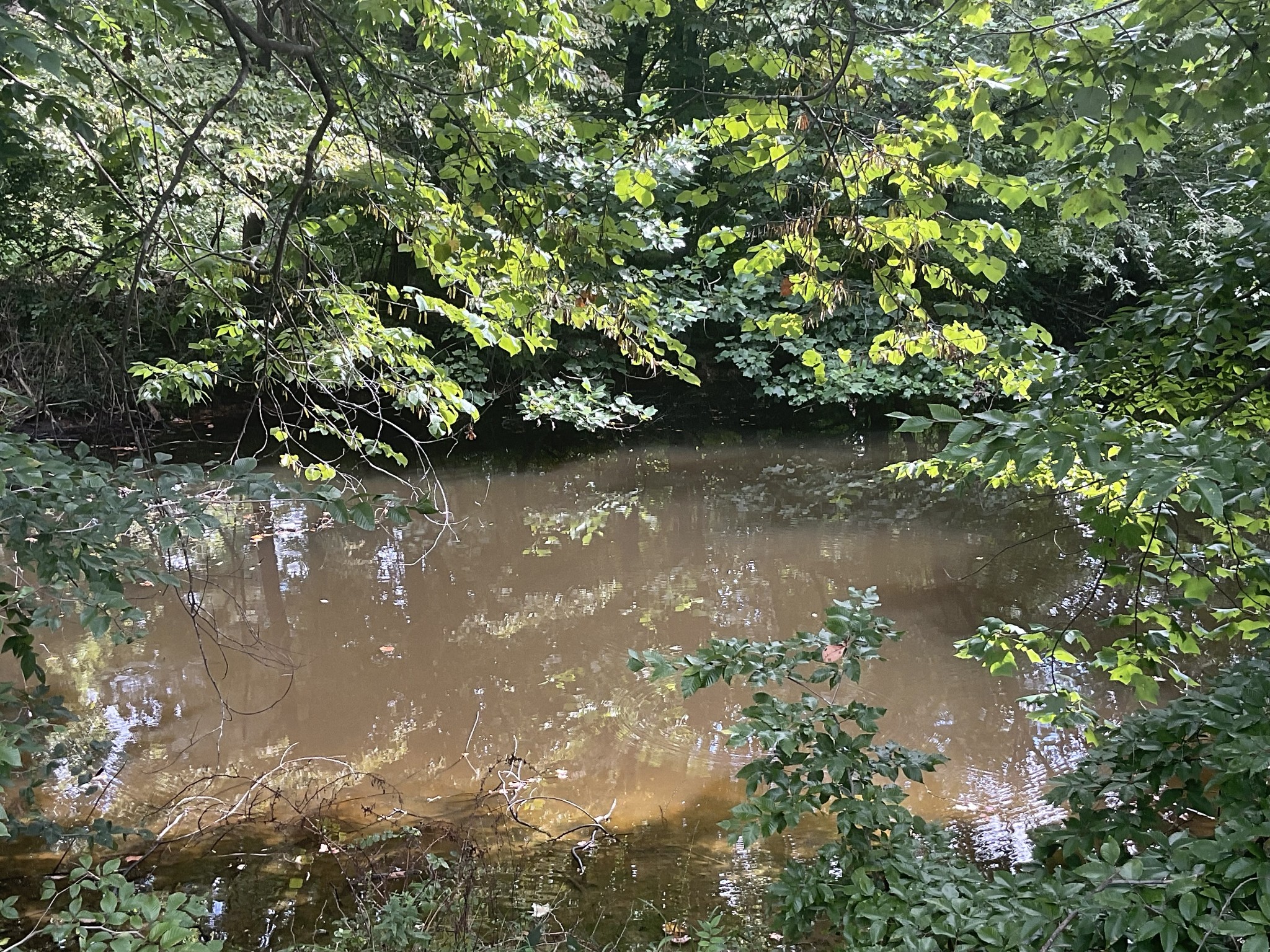 0 Edwards Ct Property Photo 20