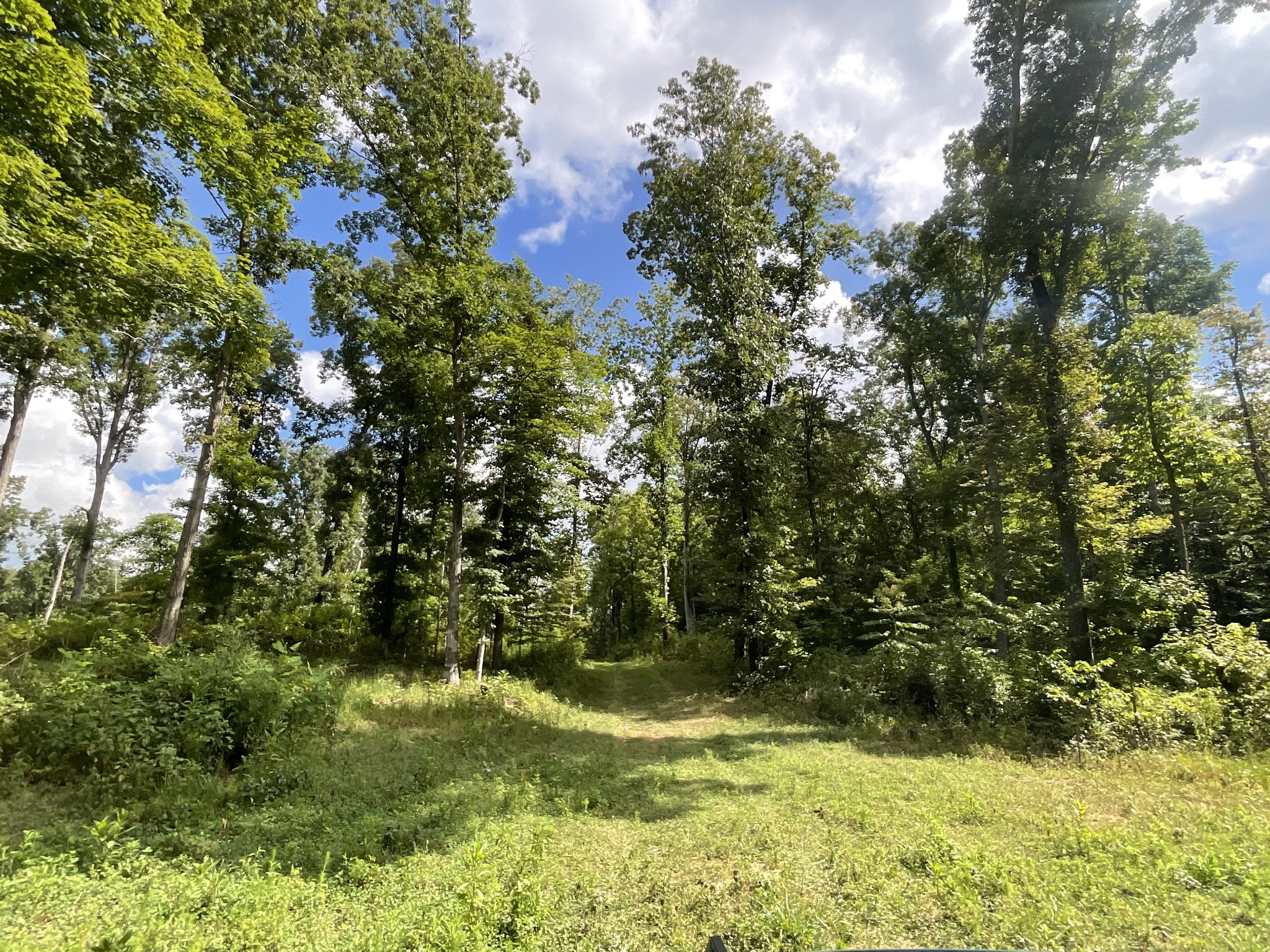 0 Edwards Ct Property Photo 21