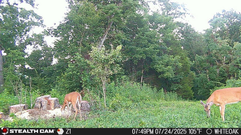 0 Edwards Ct Property Photo 24