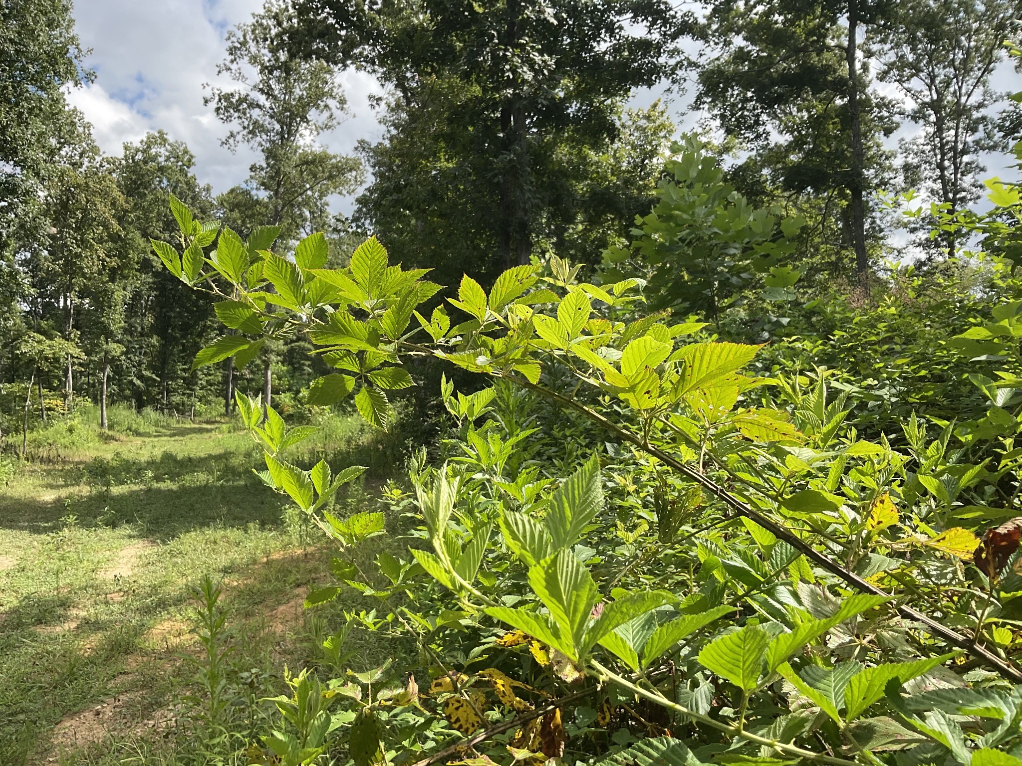 0 Edwards Ct Property Photo 25