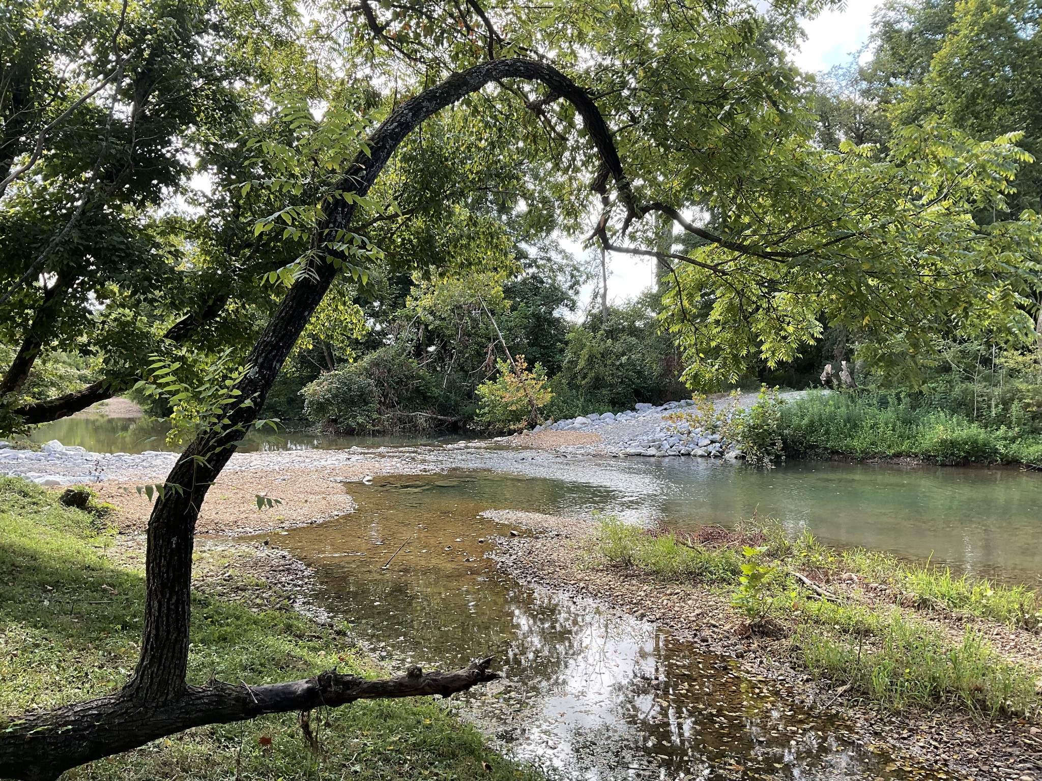 0 Edwards Ct Property Photo 28