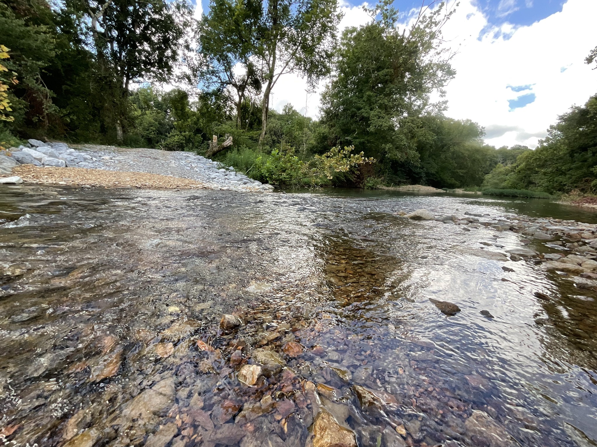 0 Edwards Ct Property Photo 29