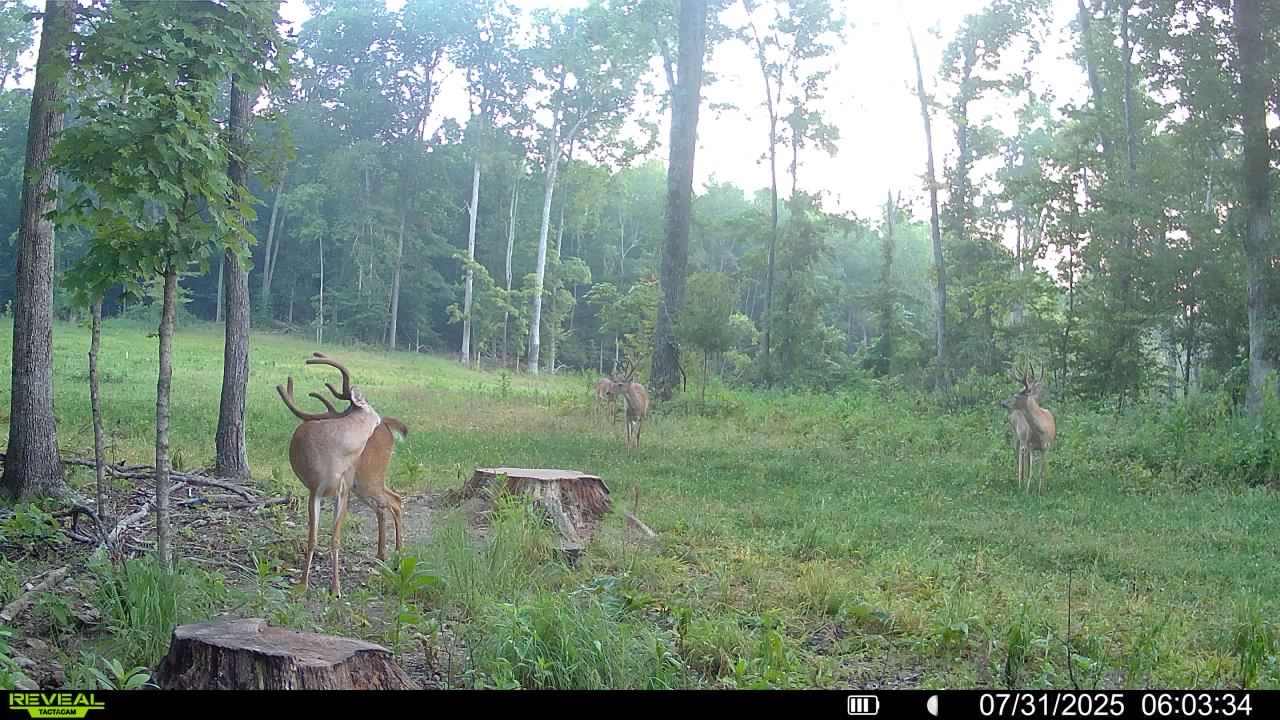 0 Edwards Ct Property Photo 31