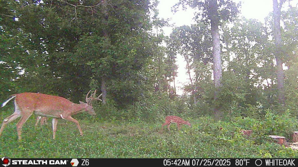 0 Edwards Ct Property Photo 35