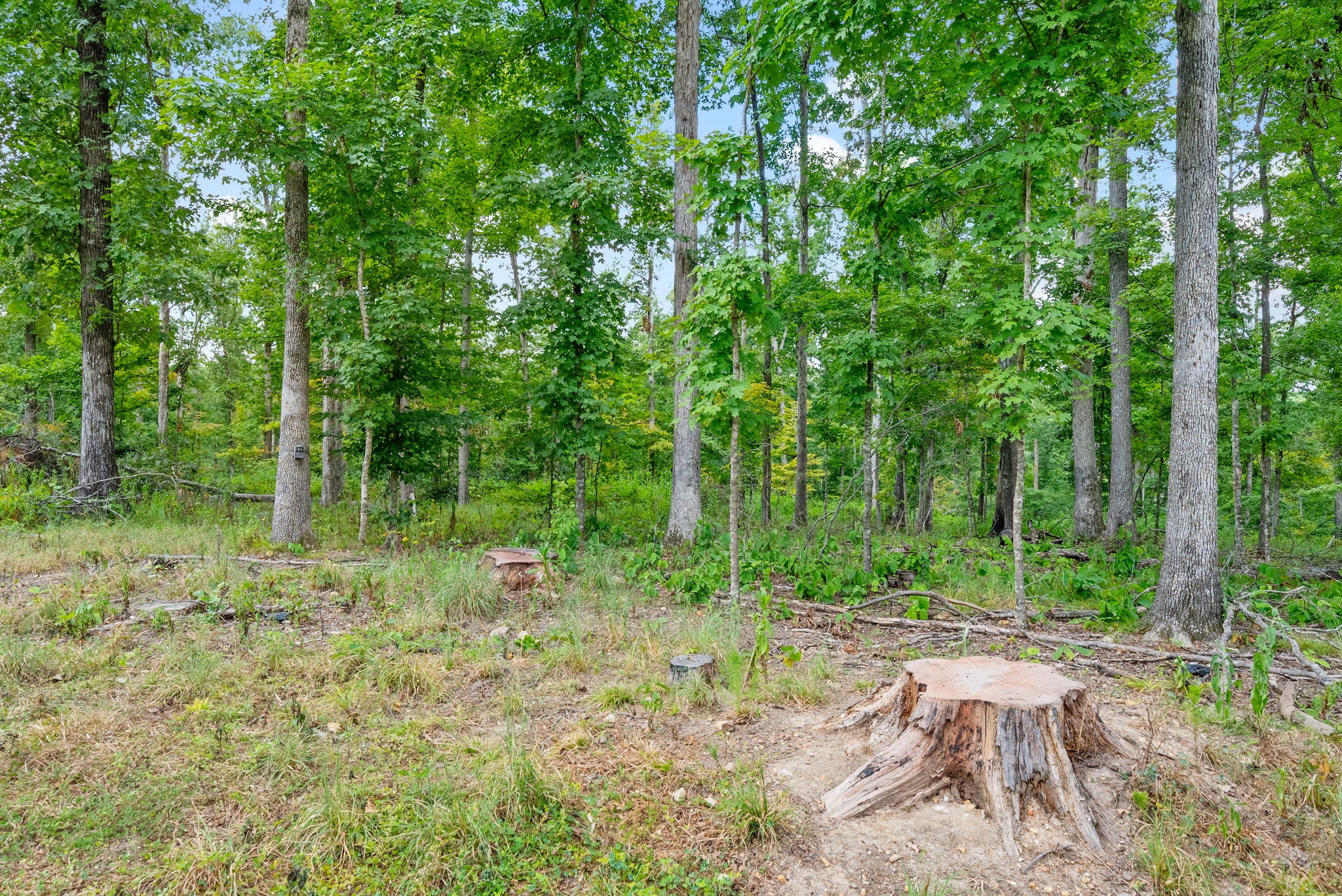 0 Edwards Ct Property Photo 37