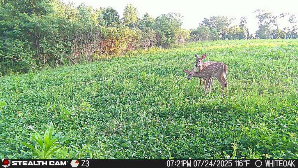 0 Edwards Ct Property Photo 38