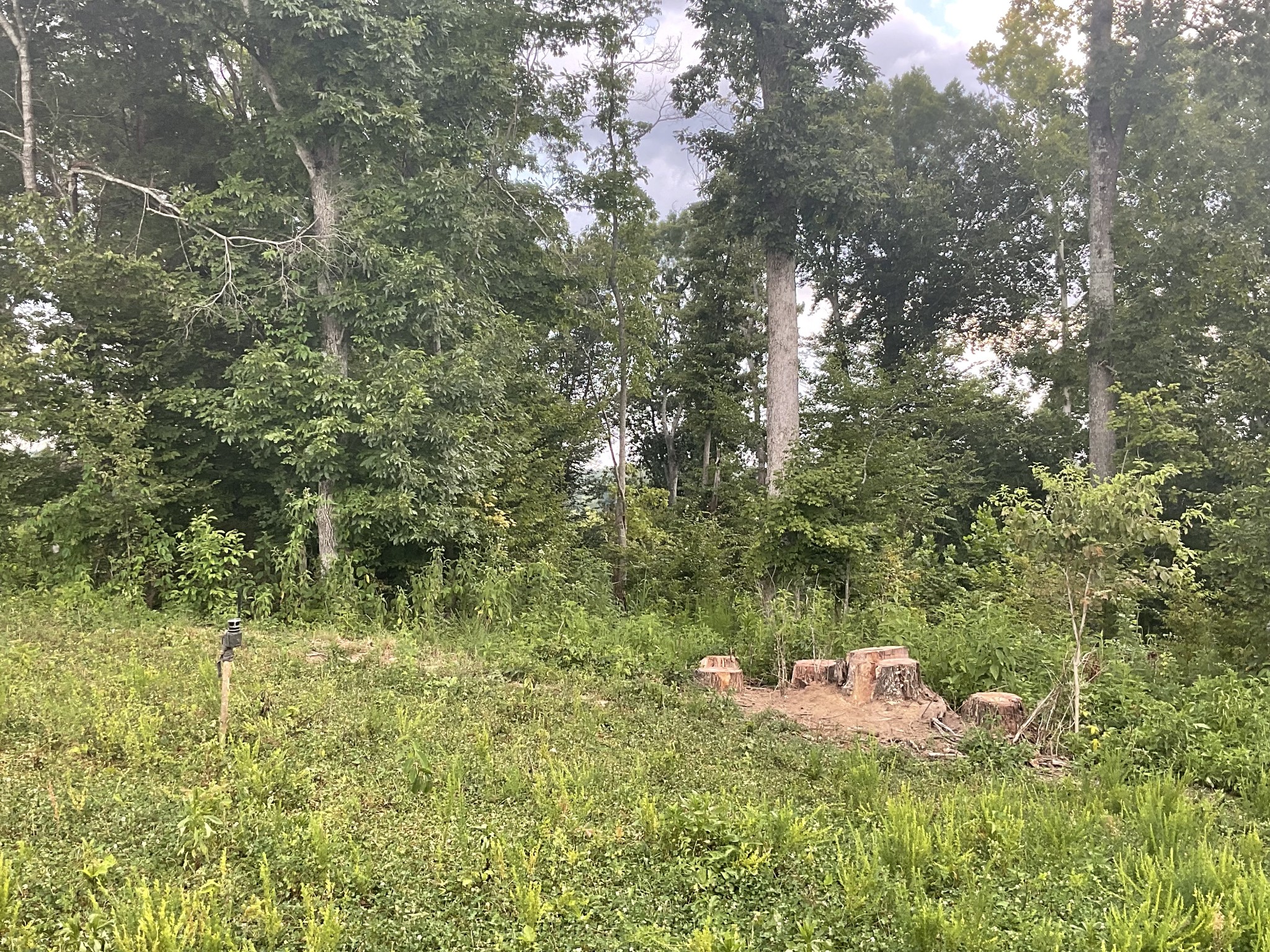 0 Edwards Ct Property Photo 48