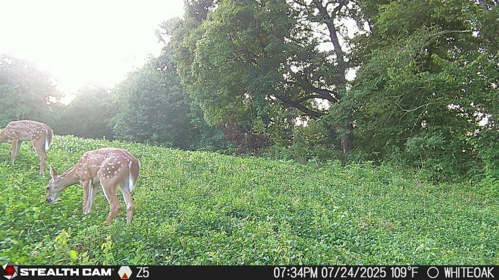 0 Edwards Ct Property Photo 49