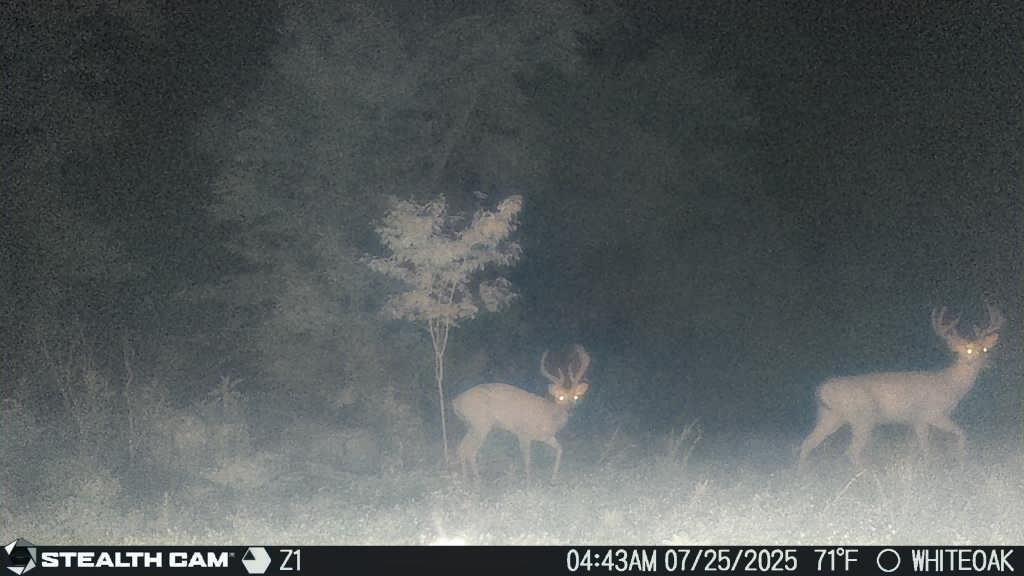 0 Edwards Ct Property Photo 51