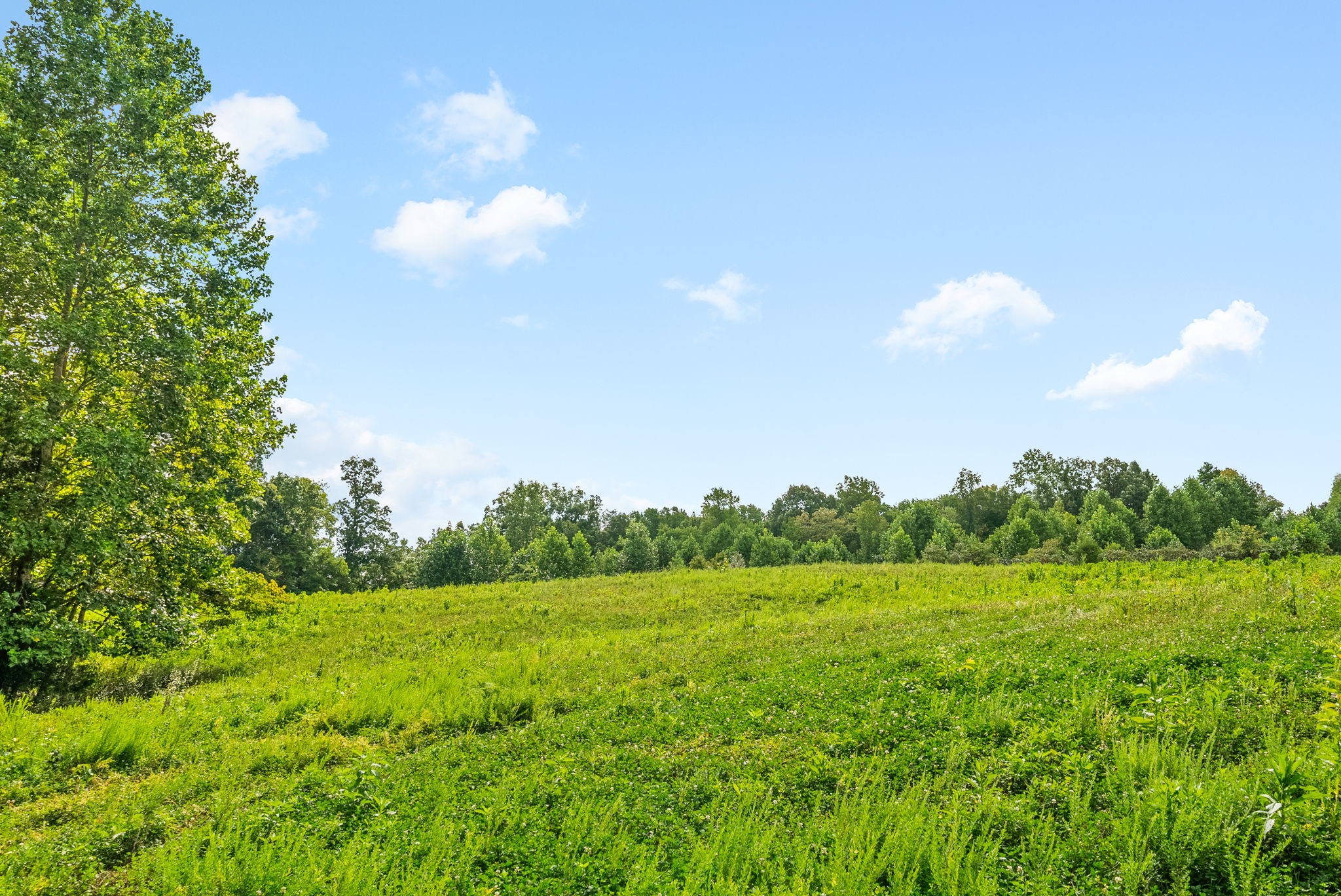 0 Edwards Ct Property Photo 52