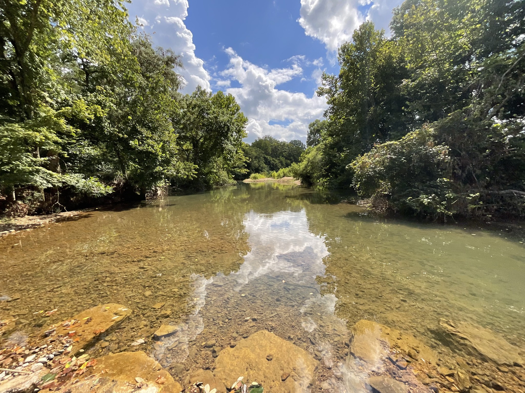 0 Edwards Ct Property Photo 60