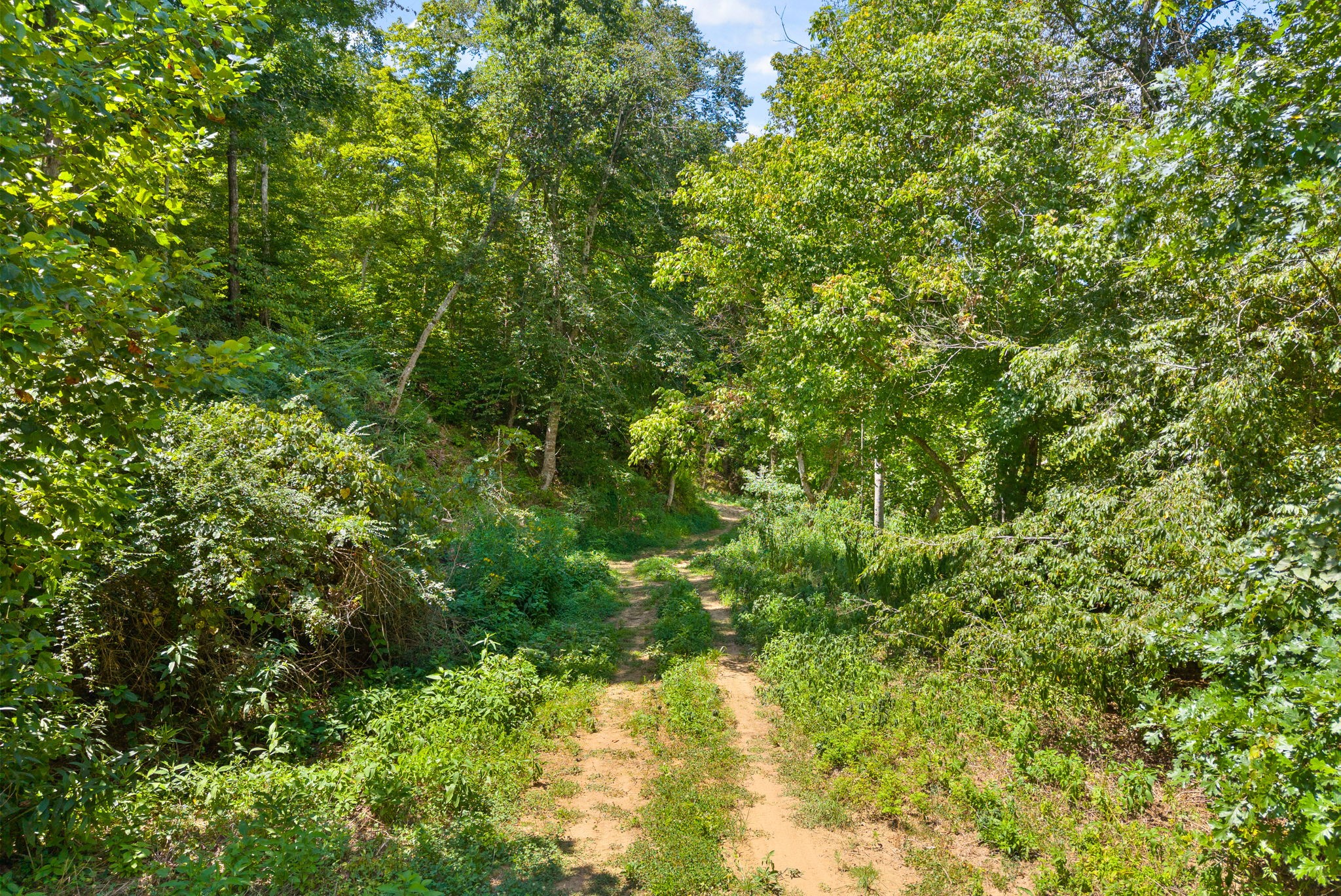 0 Edwards Ct Property Photo 61