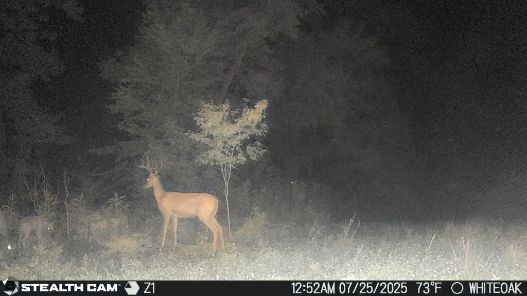 0 Edwards Ct Property Photo 65