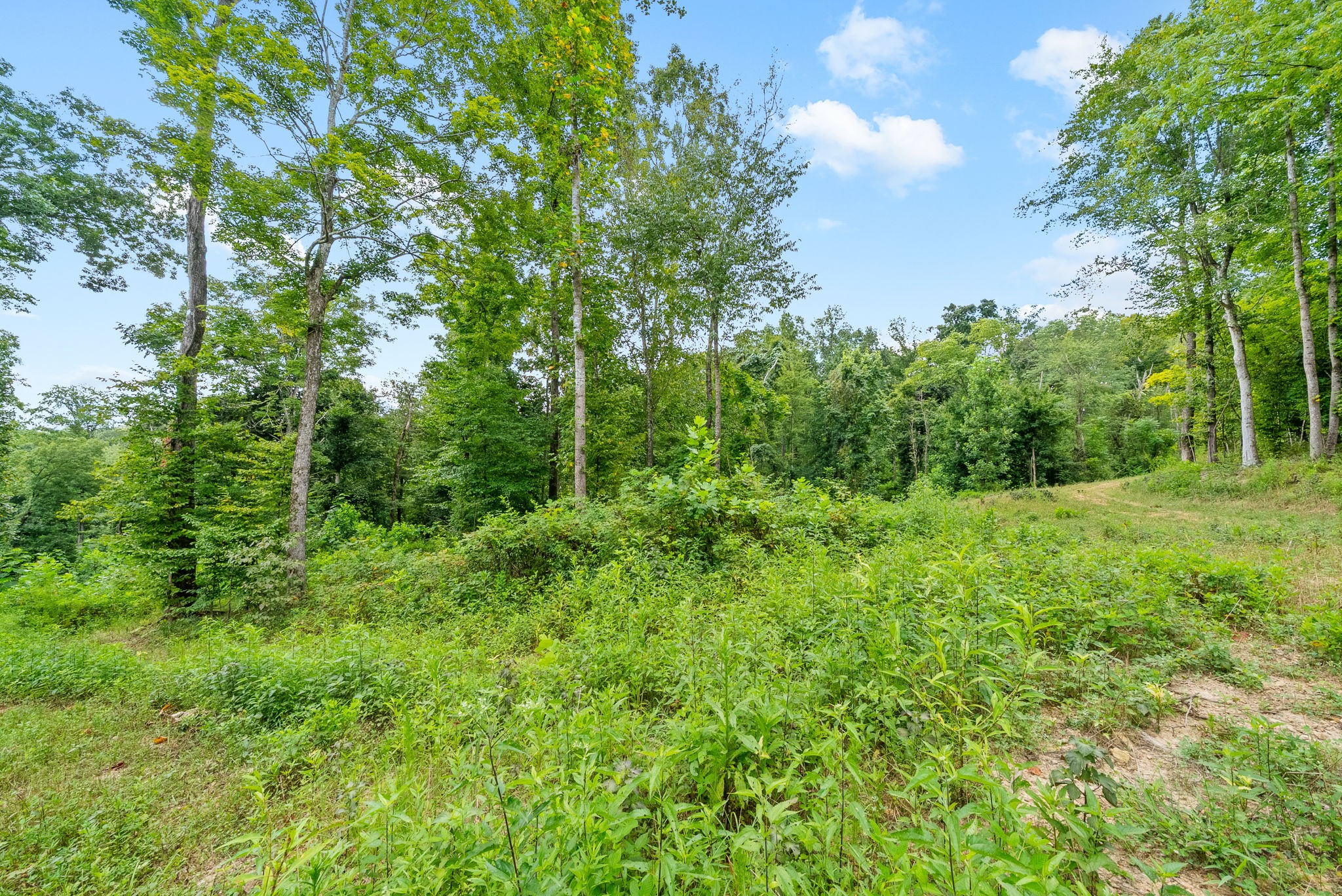 0 Edwards Ct Property Photo 69