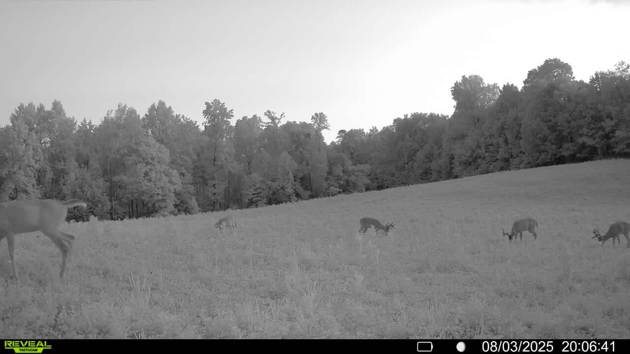 0 Edwards Ct Property Photo 70