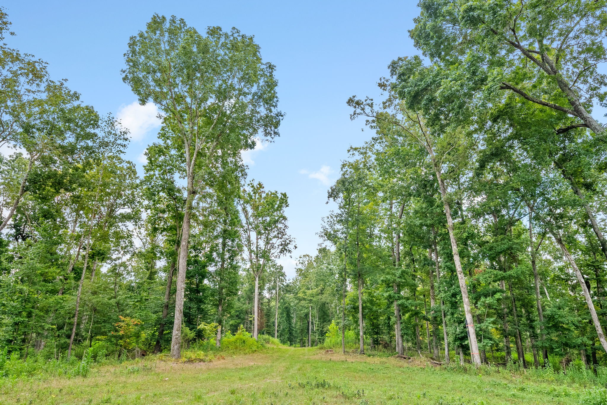 0 Edwards Ct Property Photo 73