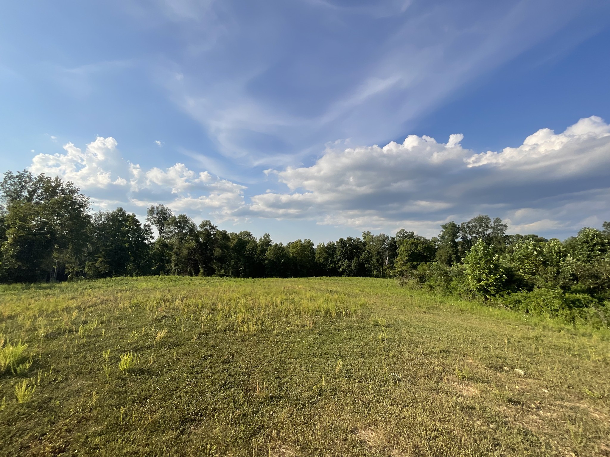 0 Edwards Ct Property Photo 74