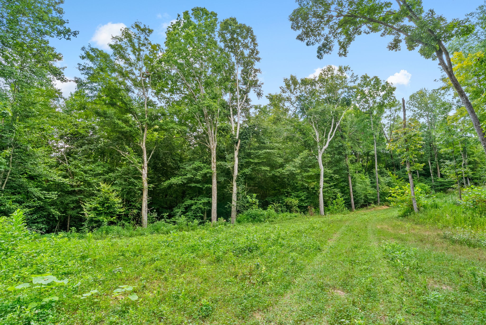 0 Edwards Ct Property Photo 75