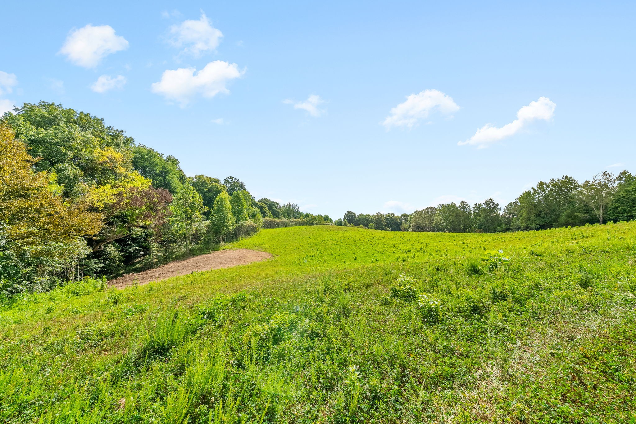 0 Edwards Ct Property Photo 76