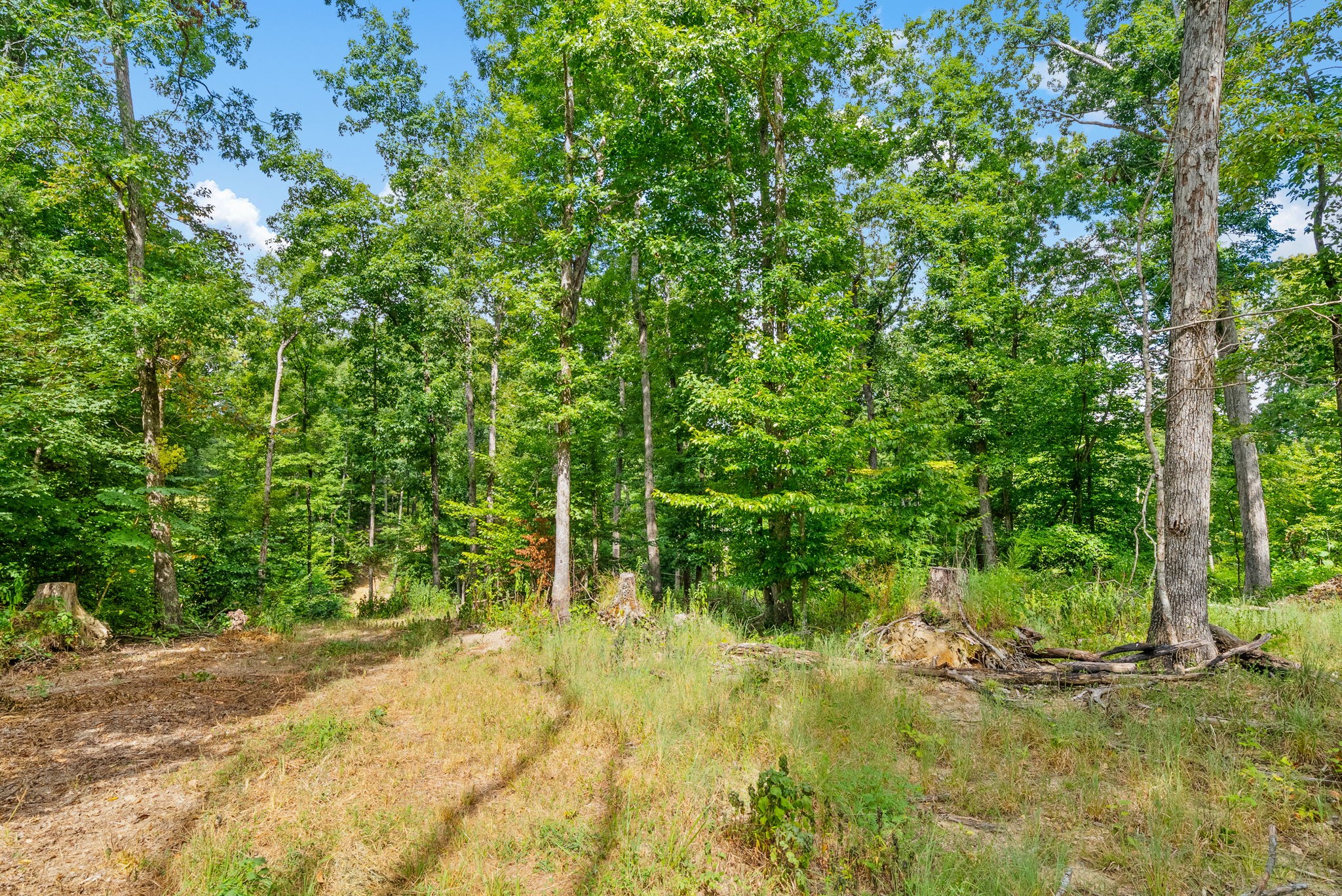 0 Edwards Ct Property Photo 77