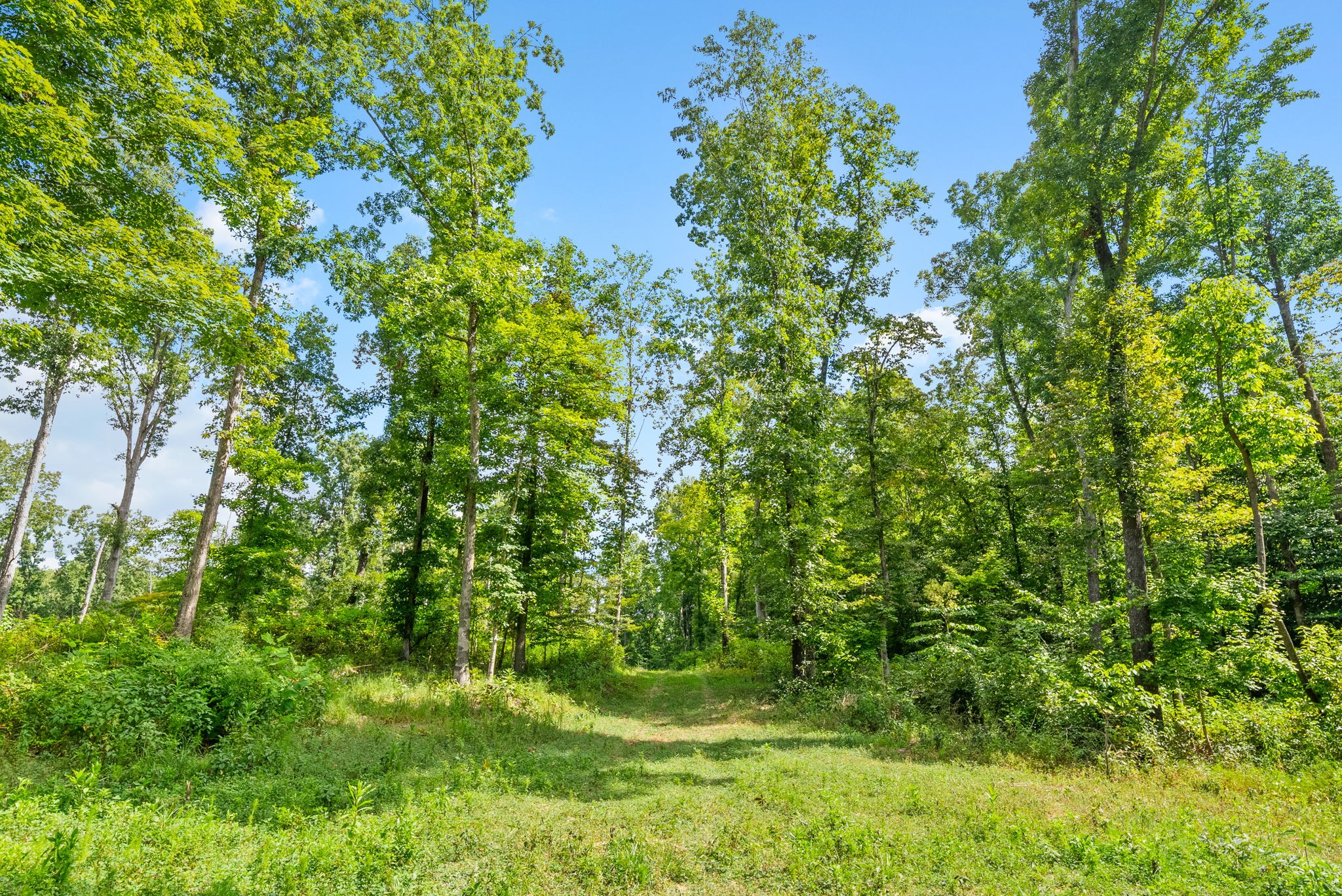 0 Edwards Ct Property Photo 78