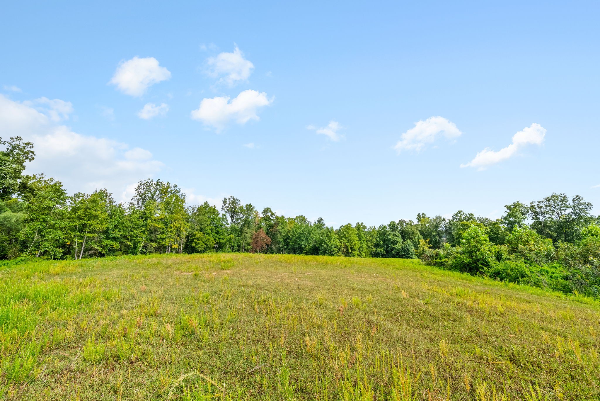 0 Edwards Ct Property Photo 79