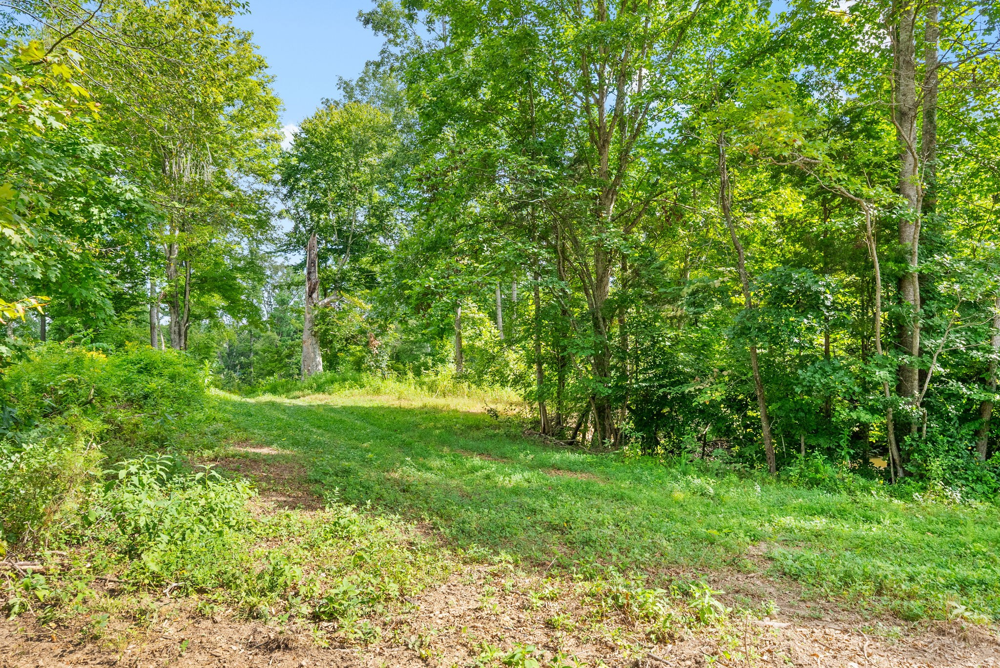 0 Edwards Ct Property Photo 82