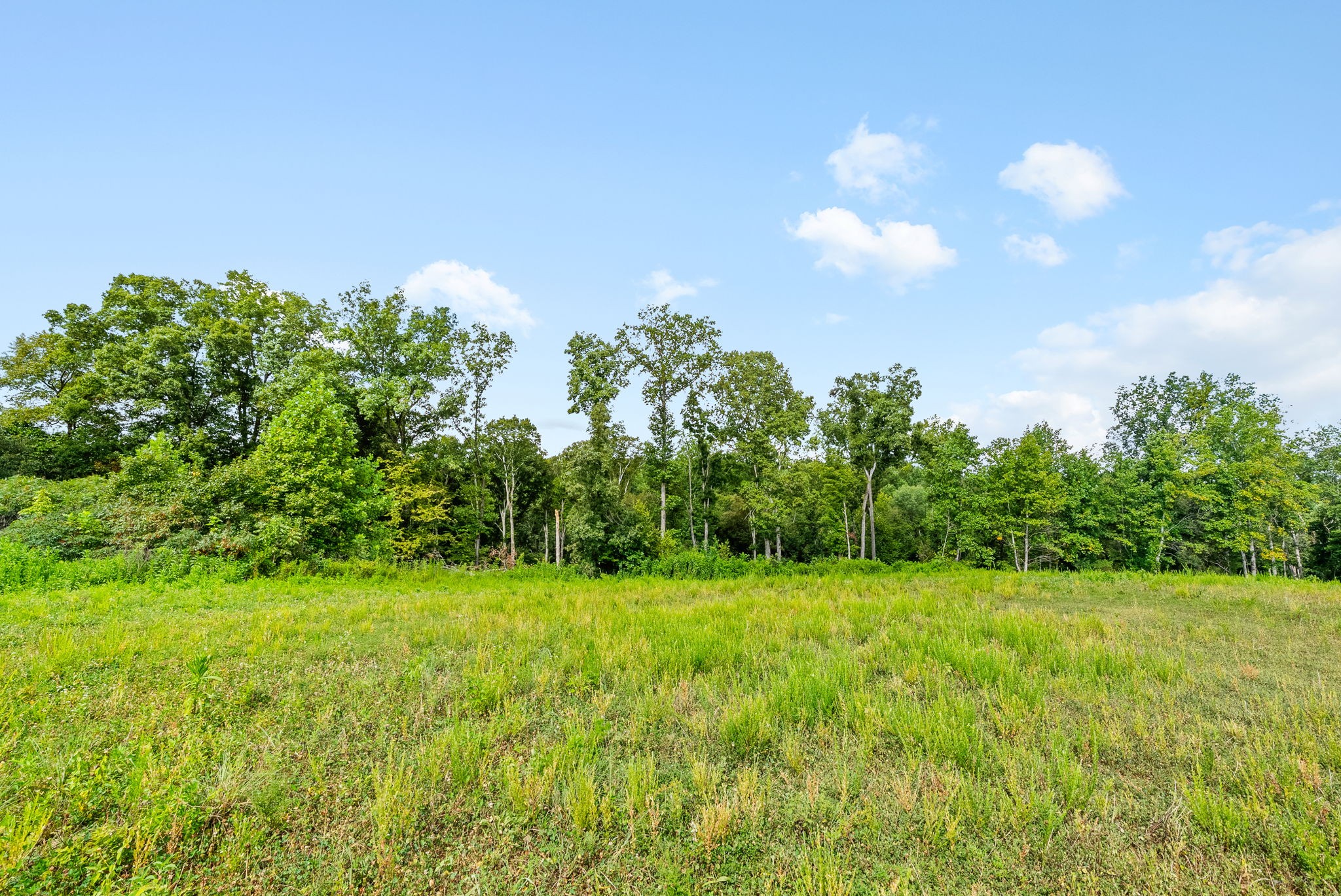 0 Edwards Ct Property Photo 83