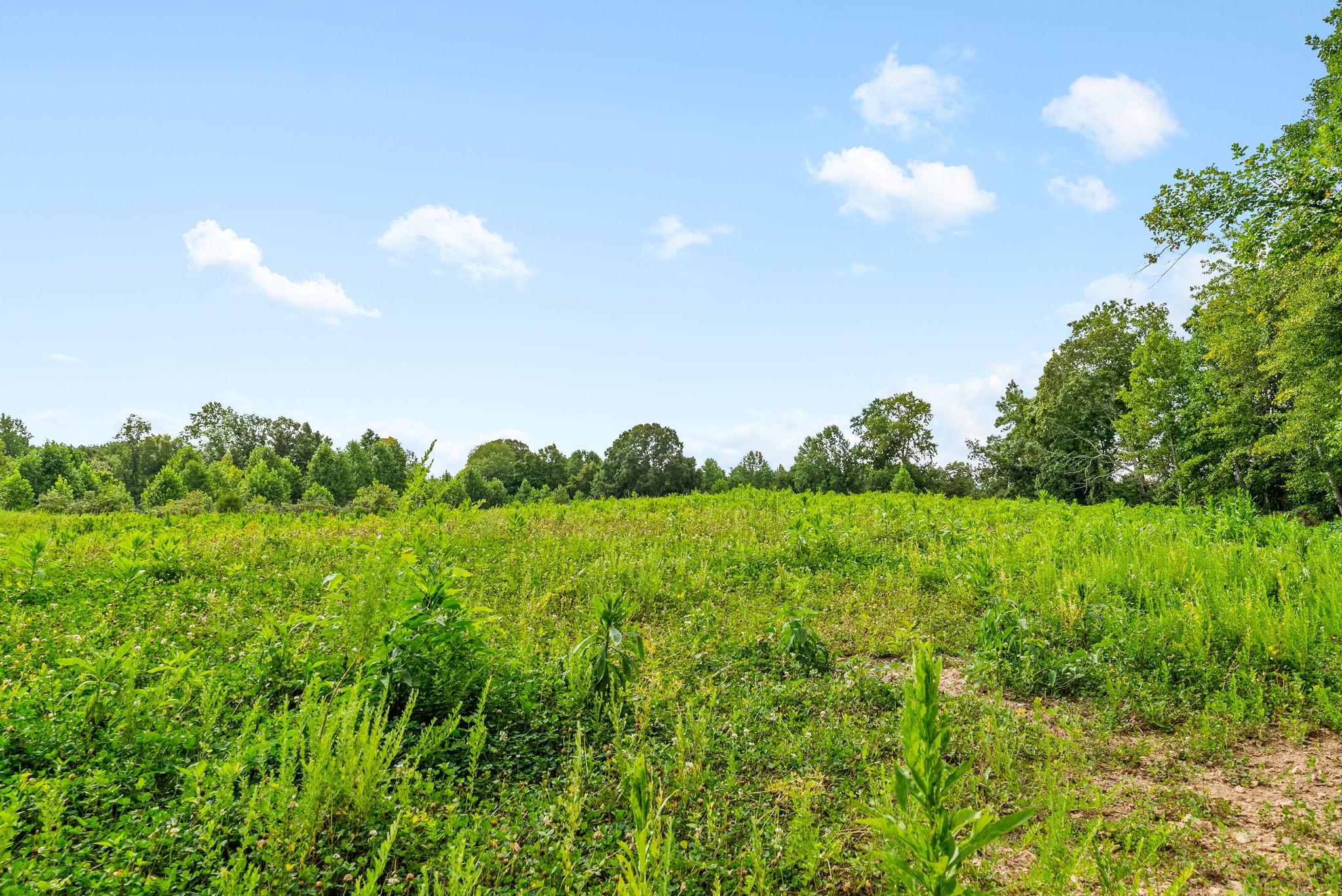 0 Edwards Ct Property Photo 85