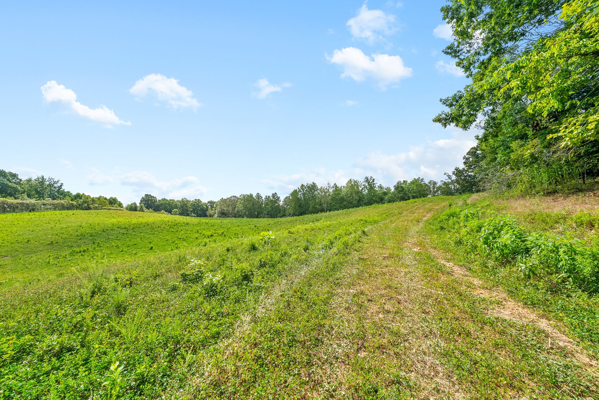 0 Edwards Ct Property Photo 86